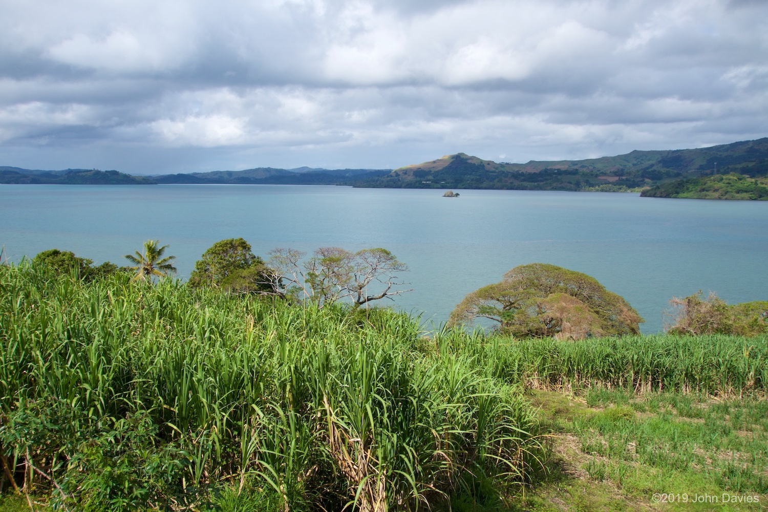 Fiji20150005