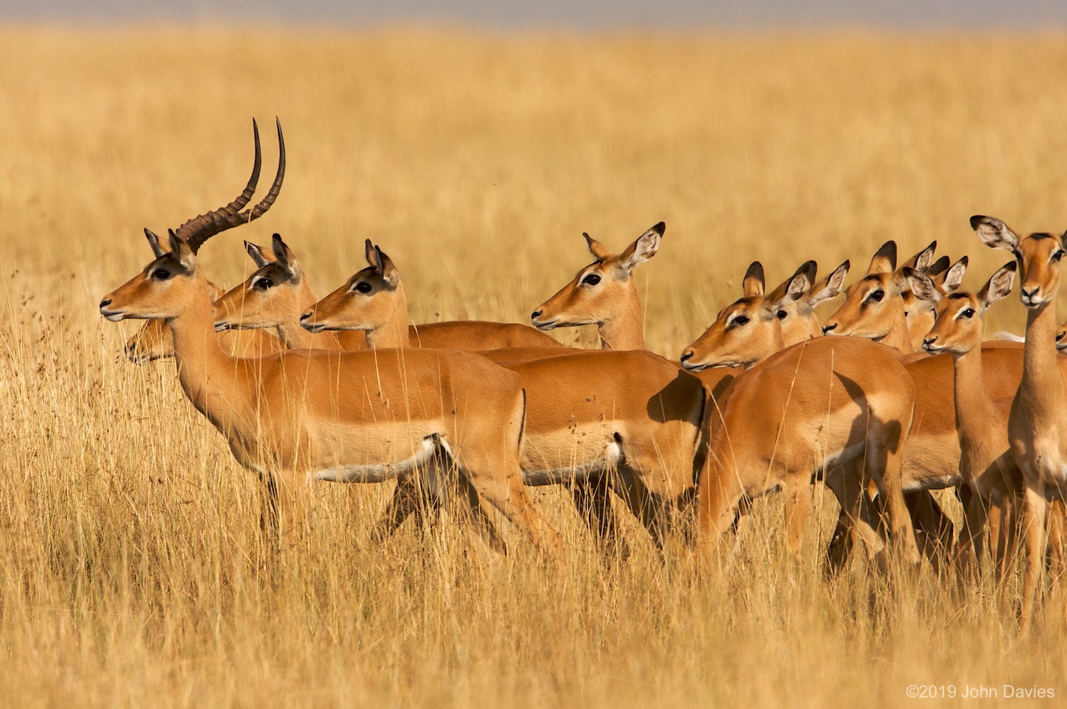 Tanzania20080016