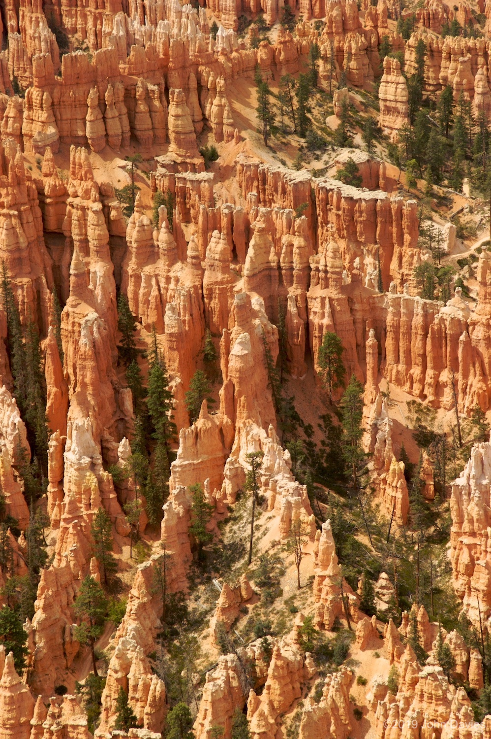 Utah20060018
