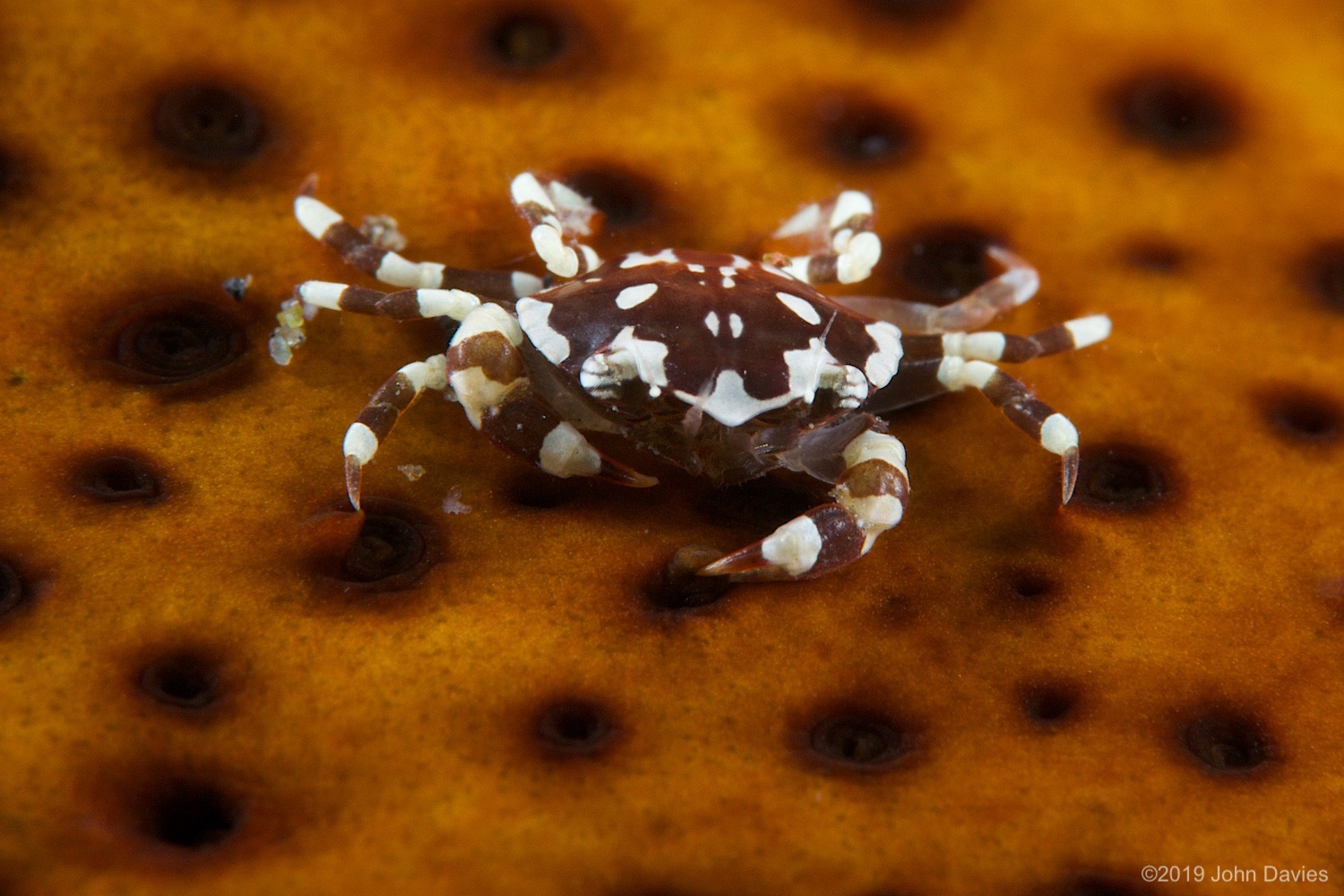 nadlembeh20140038